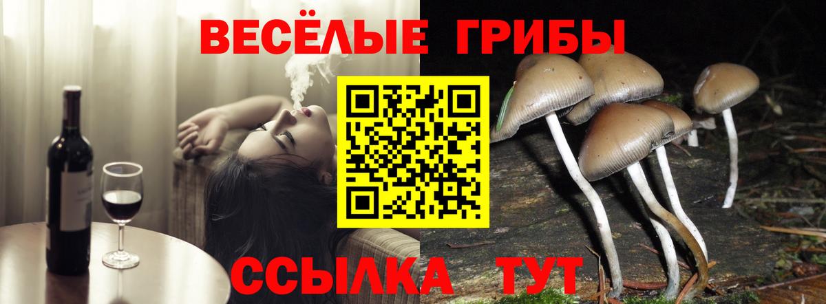 Псилоцибиновые грибы GOLDEN TEACHER  Вход с VPN  Горно-Алтайск 